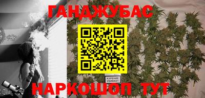 Альфа ПВП Будённовск